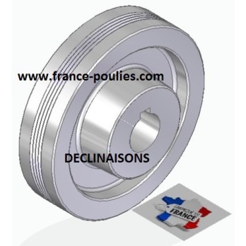 POULIE POLY-V ALU Øext 125 PJ 4 DENTS