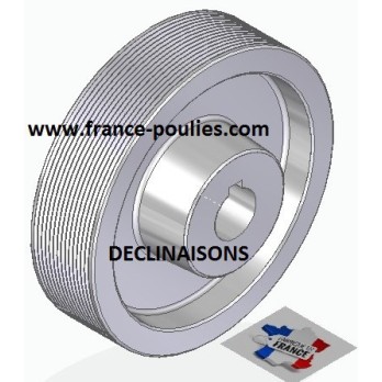 POULIE POLY-V ALU Øext 125 PJ 14 DENTS