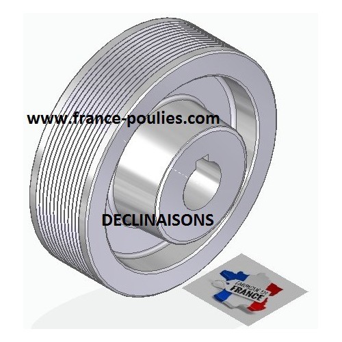 POULIE POLY-V ALU Øext 125 PJ 12 DENTS