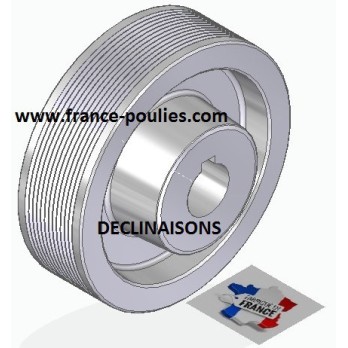 POULIE POLY-V ALU Øext 125 PJ 12 DENTS