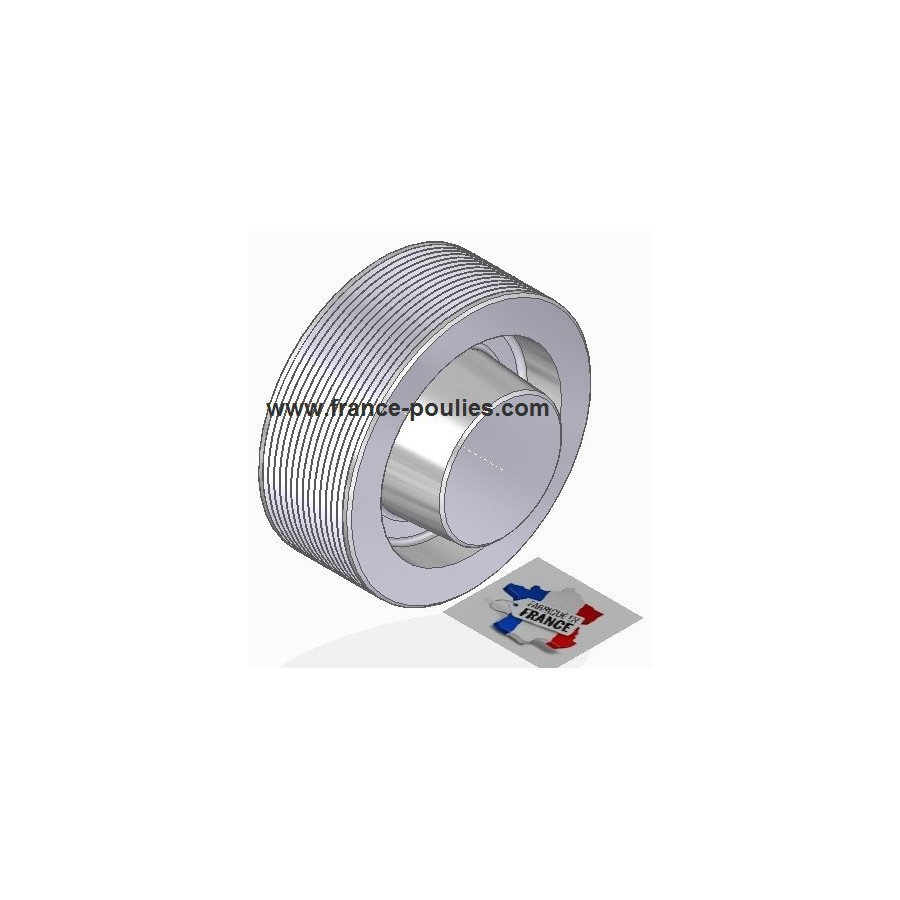 POULIE POLY-V ALU Øext 100 PJ 14 DENTS