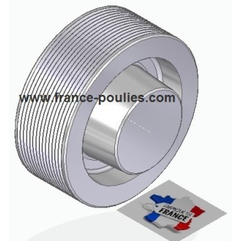 POULIE POLY-V ALU Øext 100 PJ 14 DENTS