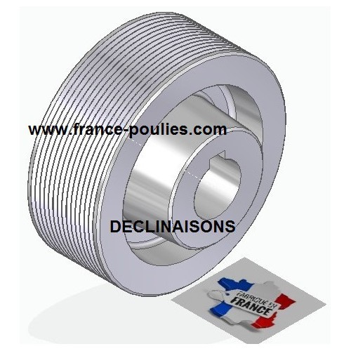 POULIE POLY-V ALU Øext 100 PJ 14 DENTS