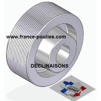 POULIE POLY-V ALU Øext 100 PJ 14 DENTS