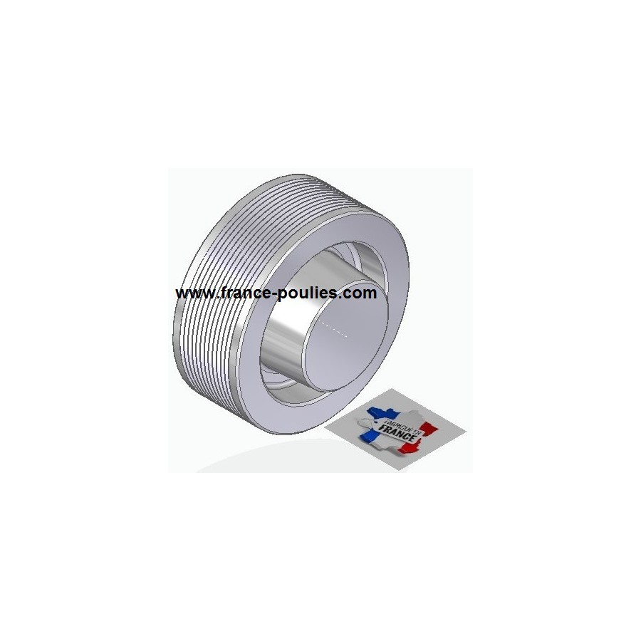 POULIE POLY-V ALU Øext 100 PJ 12 DENTS