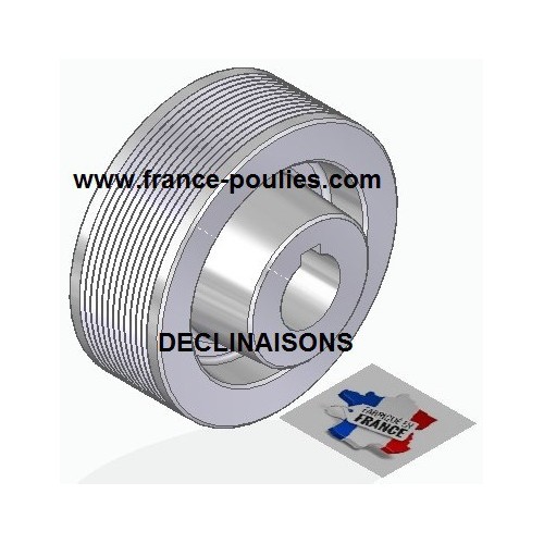 POULIE POLY-V ALU Øext 100 PJ 12 DENTS