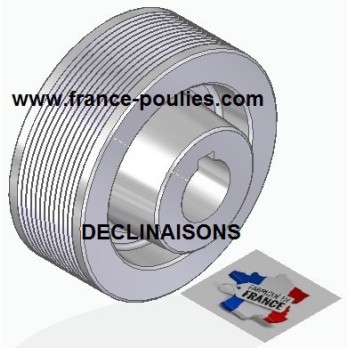 POULIE POLY-V ALU Øext 100 PJ 12 DENTS