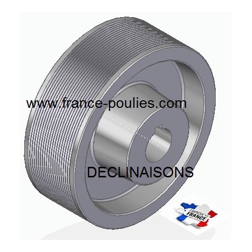 POULIE POLY-V ALU Øext 160 PJ 20 DENTS
