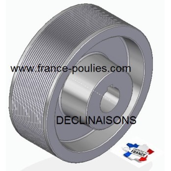 POULIE POLY-V ALU Øext 160 PJ 20 DENTS