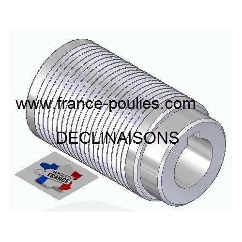 POULIE POLY-V ALU Øext56 PJ 20 DENTS