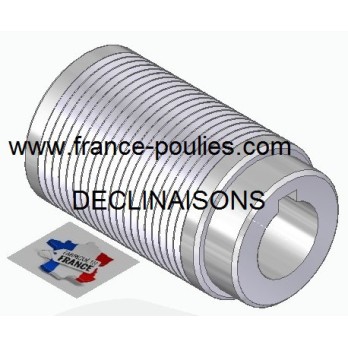 POULIE POLY-V ALU Øext56 PJ 20 DENTS