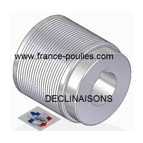 POULIE POLY-V ALU Øext 80 PJ 20 DENTS