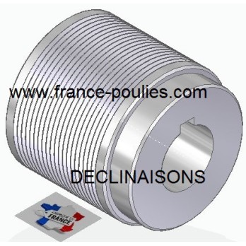 POULIE POLY-V ALU Øext 80 PJ 20 DENTS