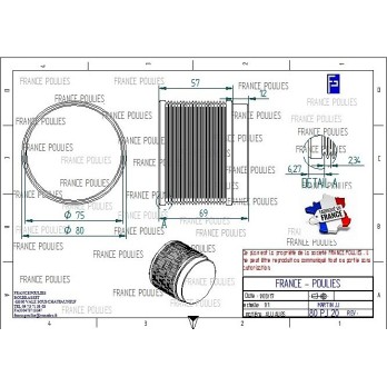 POULIE POLY-V ALU Øext 80 PJ 20 DENTS