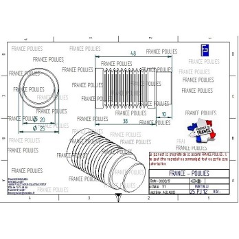 POULIE POLY-V ALU Øext 25 PJ 12 DENTS