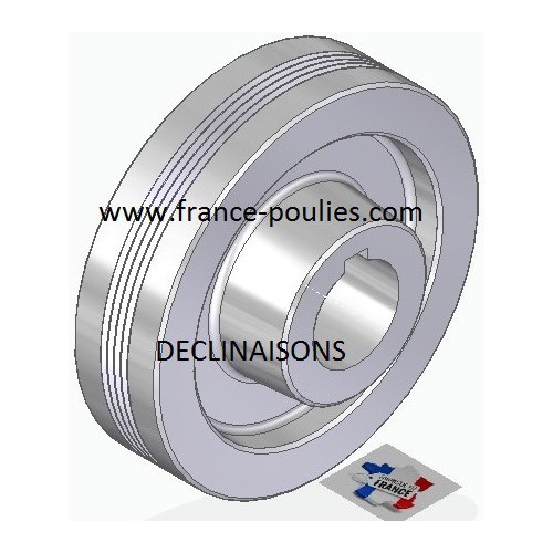 POULIE POLY-V ALU Øext 100 PJ 4 DENTS