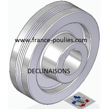 POULIE POLY-V ALU Øext 100 PJ 4 DENTS