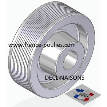 POULIE POLY-V ALU Øext 112 PJ 12 DENTS