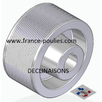 POULIE POLY-V ALU Øext 112 PJ 20 DENTS