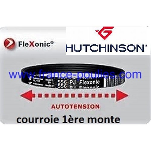 courroie poly v 556 pj 8 dents flexonic Hutchinson 