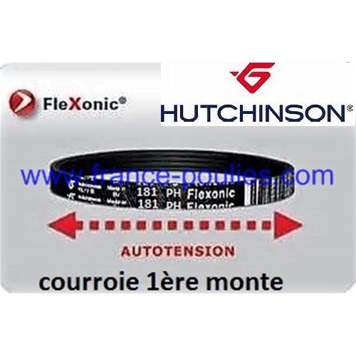 courroie poly v 181 ph 8 dents flexonic Hutchinson 
