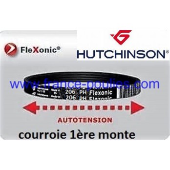 courroie poly v 206 ph 2 dents flexonic Hutchinson 
