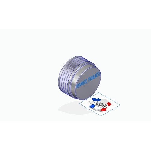 POULIE POLY-V ALU Øext 71 PL 4 DENTS