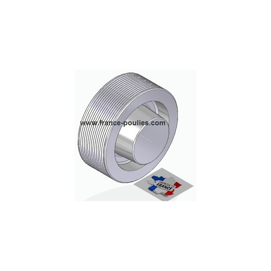POULIE POLY-V ALU Øext 100 PJ 14 DENTS