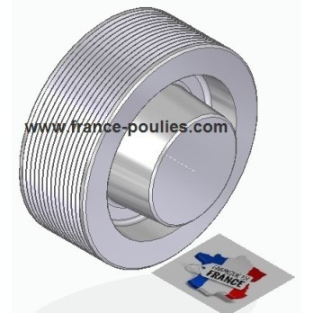 POULIE POLY-V ALU Øext 100 PJ 14 DENTS