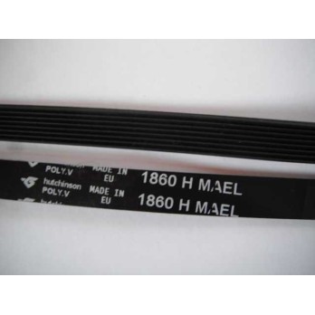 courroie poly v 1860 PH 8 dents  MA 