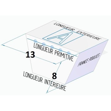 COURROIE  "A" 13X8