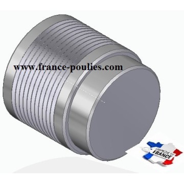 Poulie poly-v J ØEXT 45