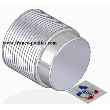 Poulie poly-v J ØEXT 63