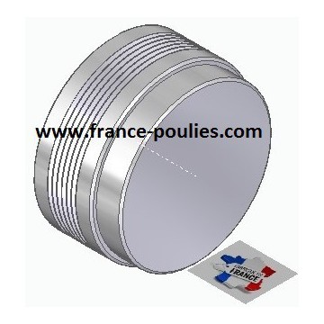 Poulie poly-v J ØEXT 71